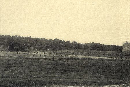 The future site of Kew Gardens, NY north of Metropolitan Avenue, c. 1908