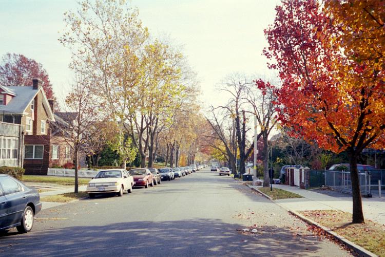 Looking east on Abingdon Road from Lefferts Boulevard in Kew Gardens, NY.