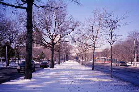 Queens Boulevard looking west from 86th Road in Kew Gardens, NY.